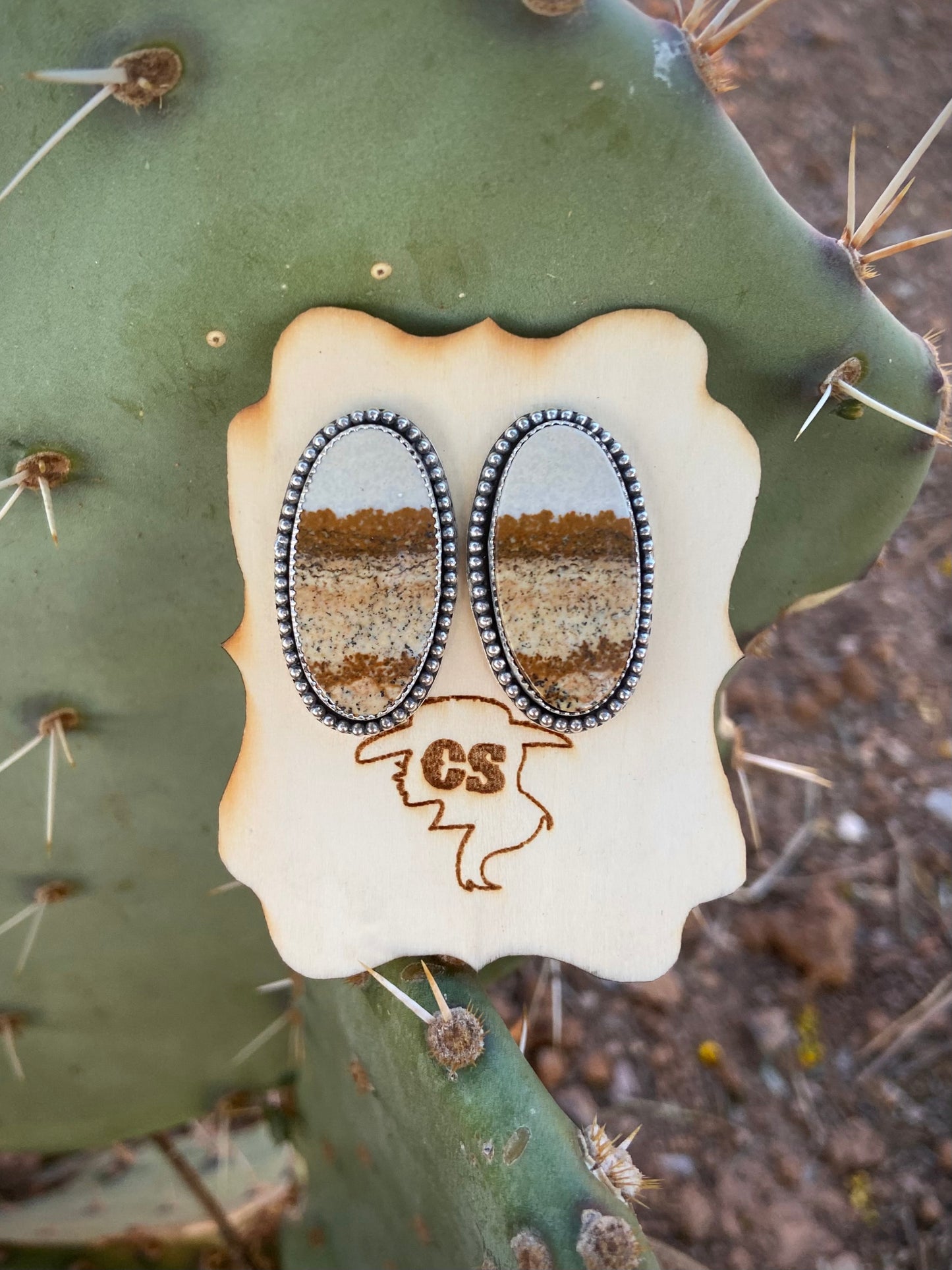 Pretty as A Picture Earrings