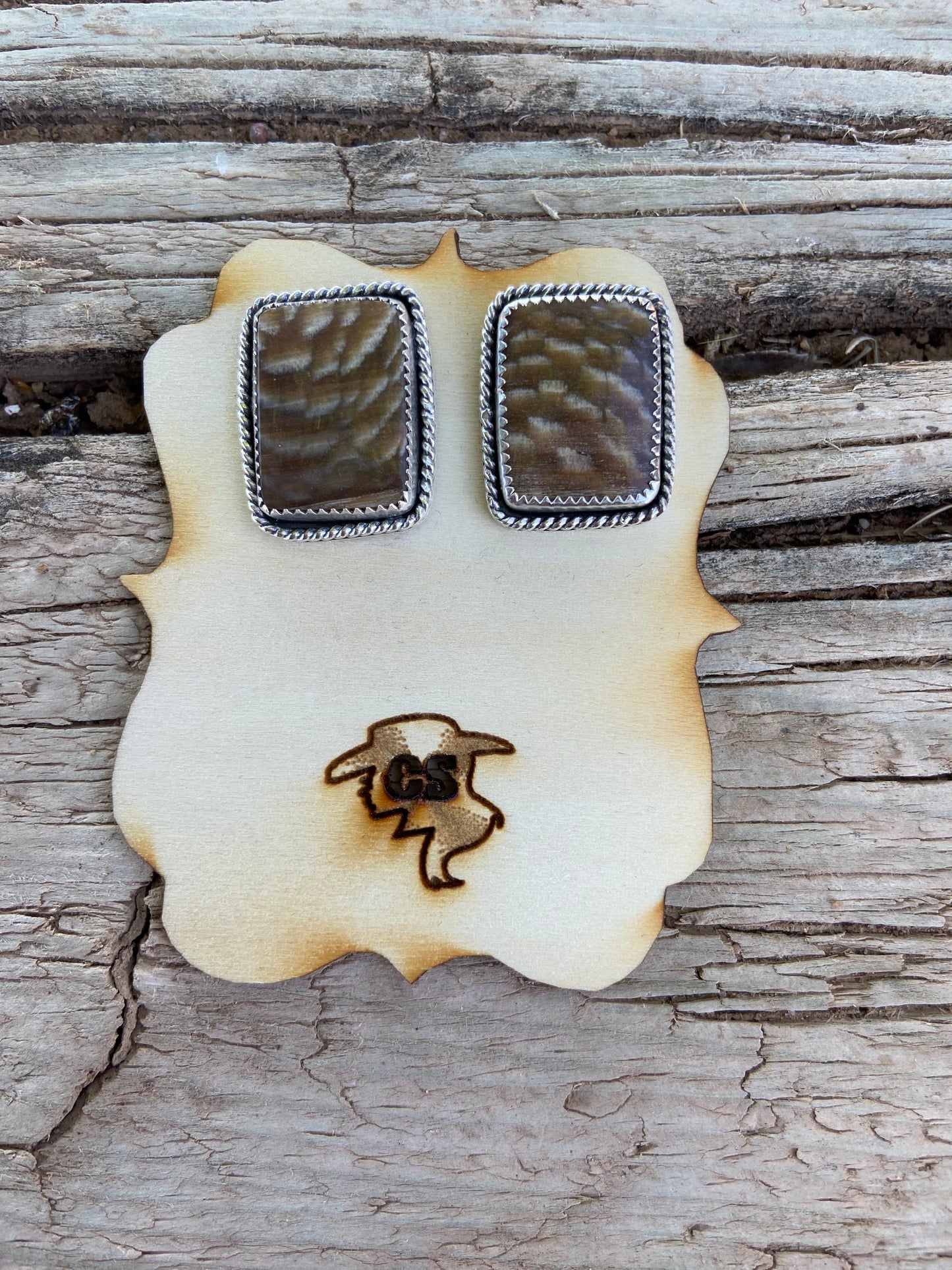 Petrified Earring