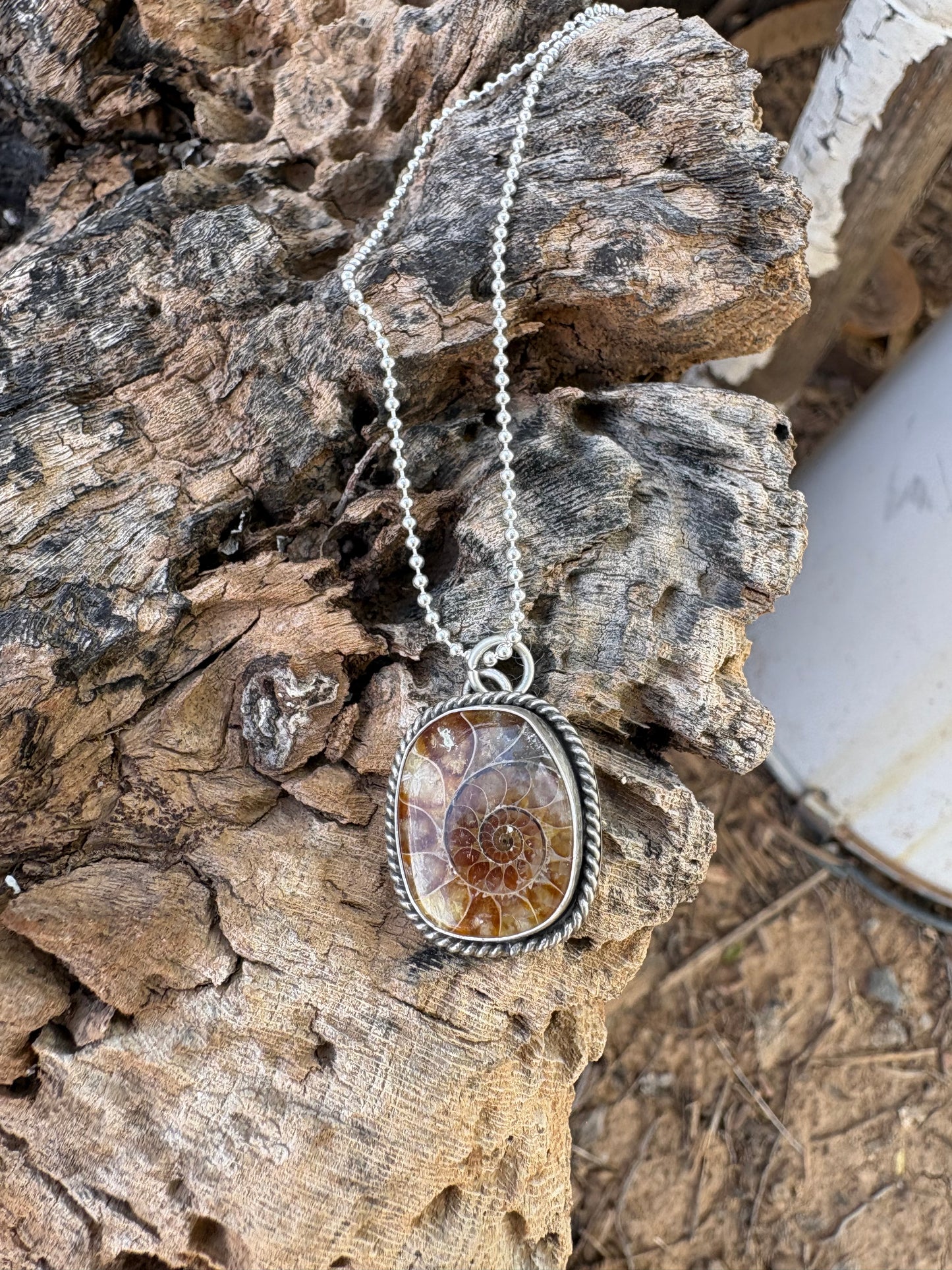Fossilized Necklace