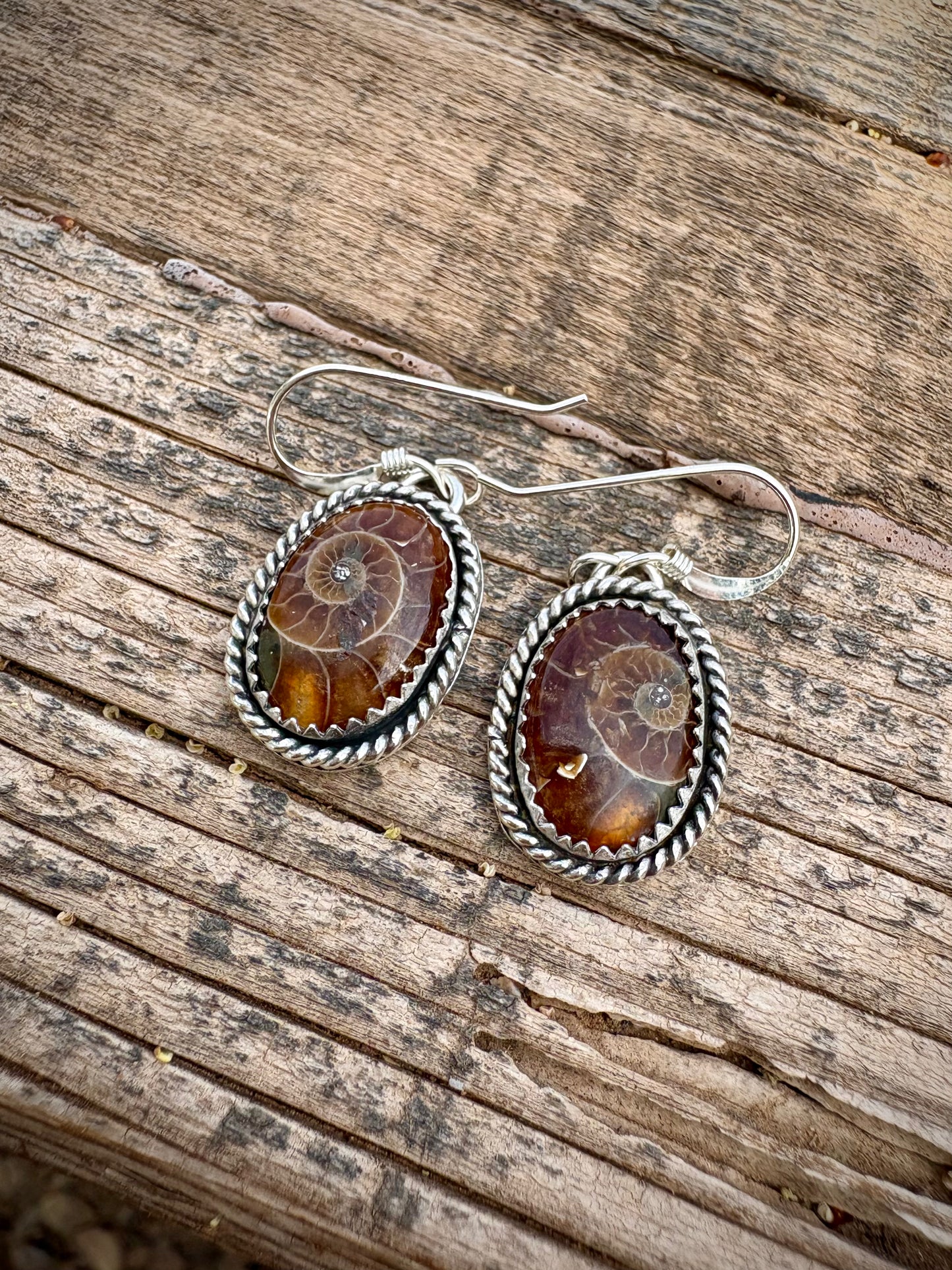 Seaside Cowgirl Earrings