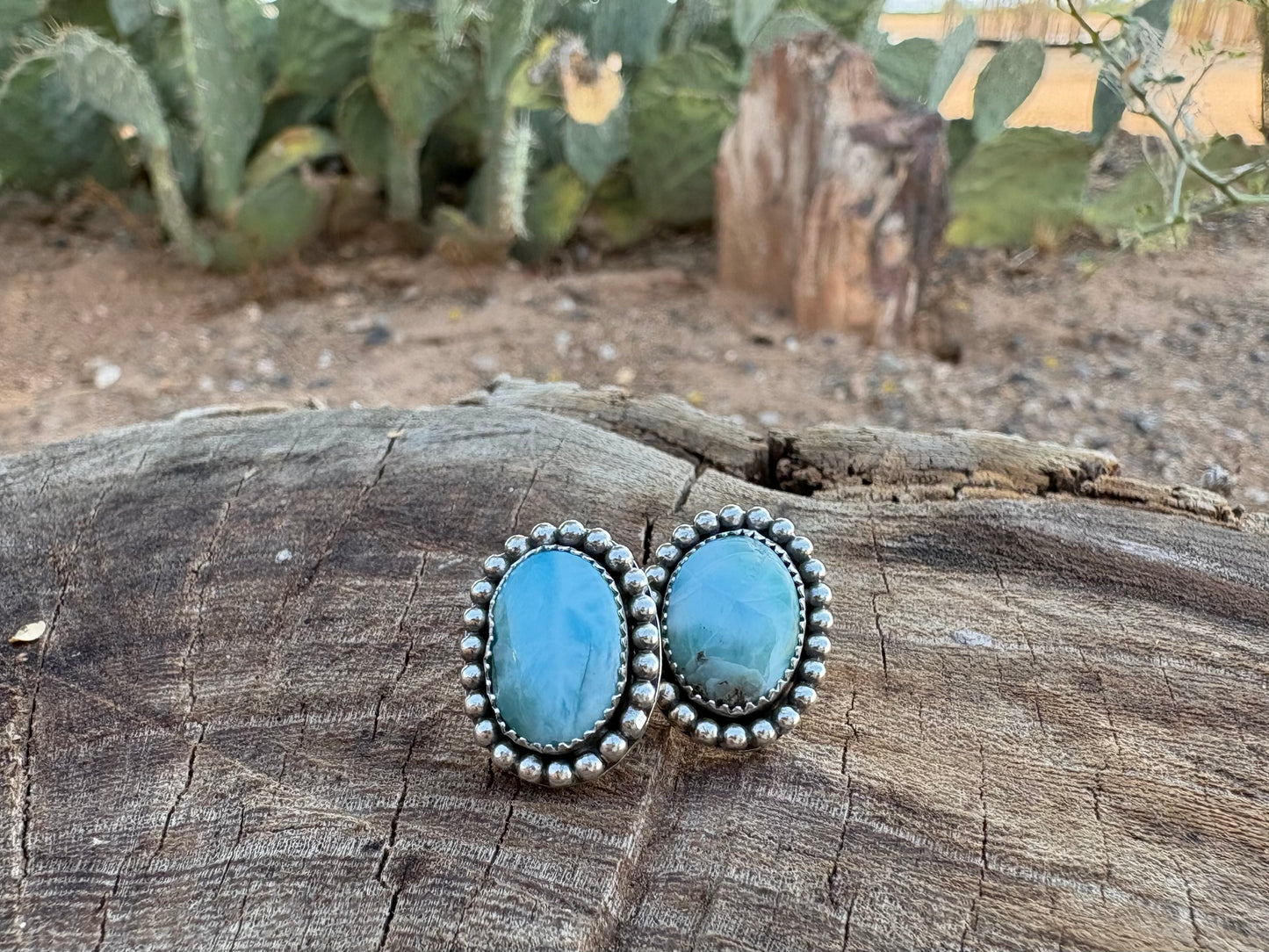Ocean Eyes Earrings