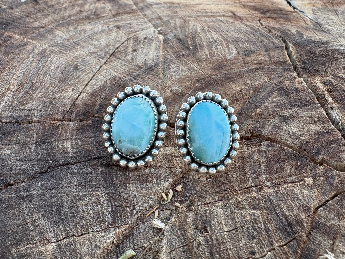 Ocean Eyes Earrings