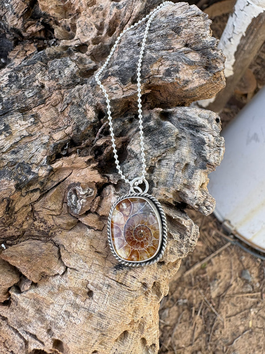 Fossilized Necklace