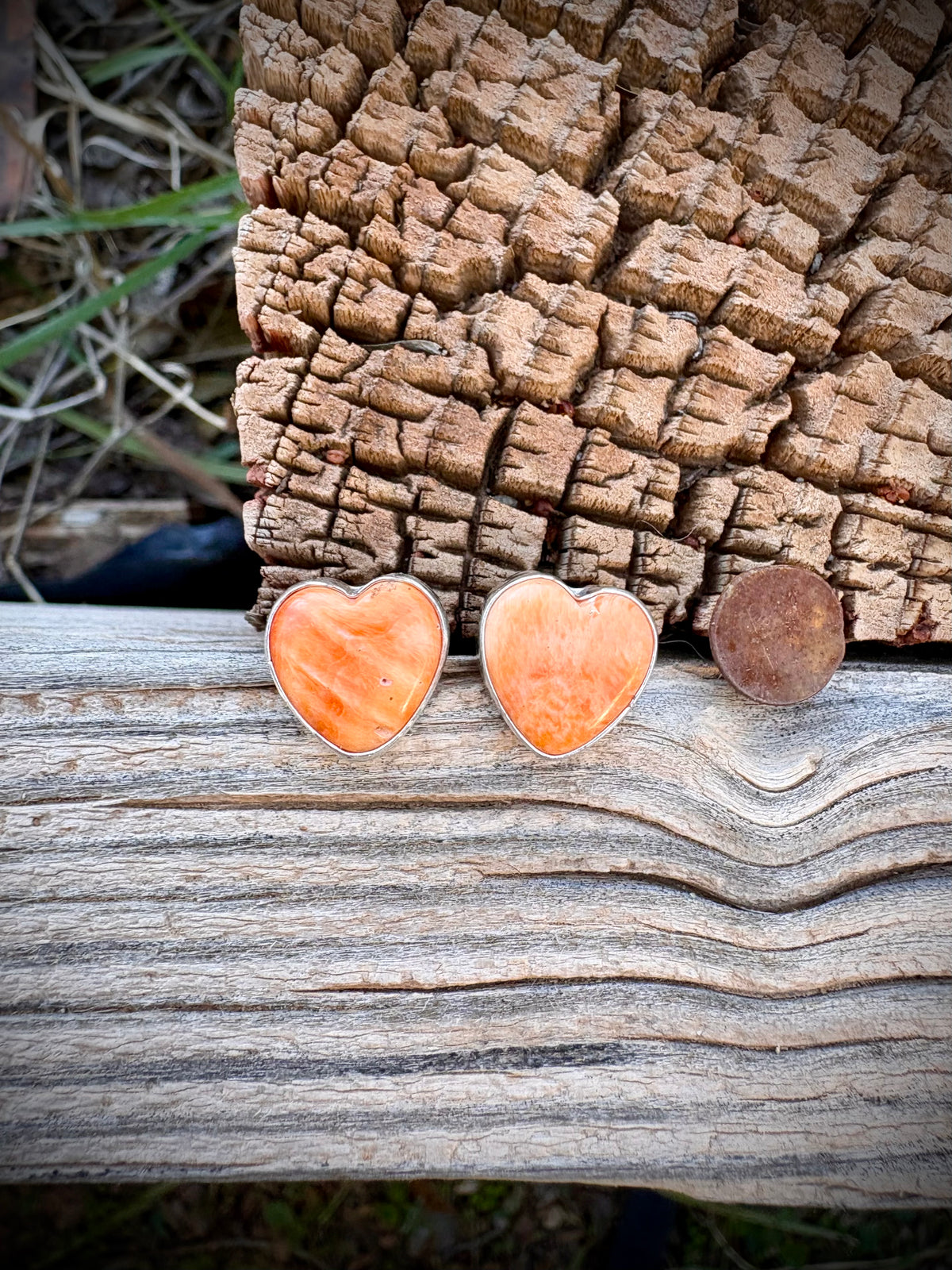Orange You Cute Earrings