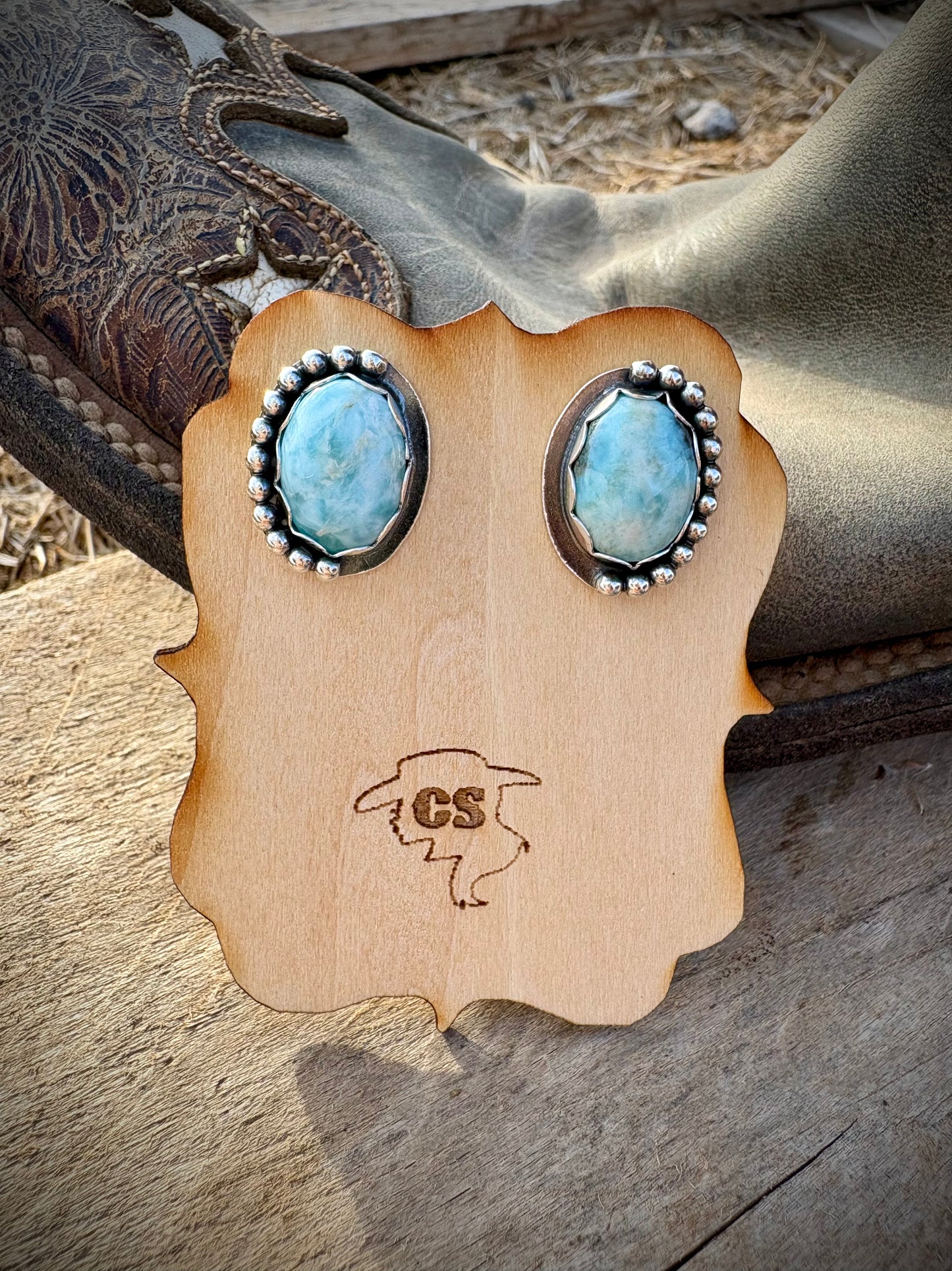 Ocean Eyes Earrings