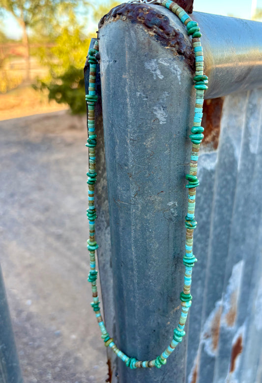 Long Turquoise Necklace