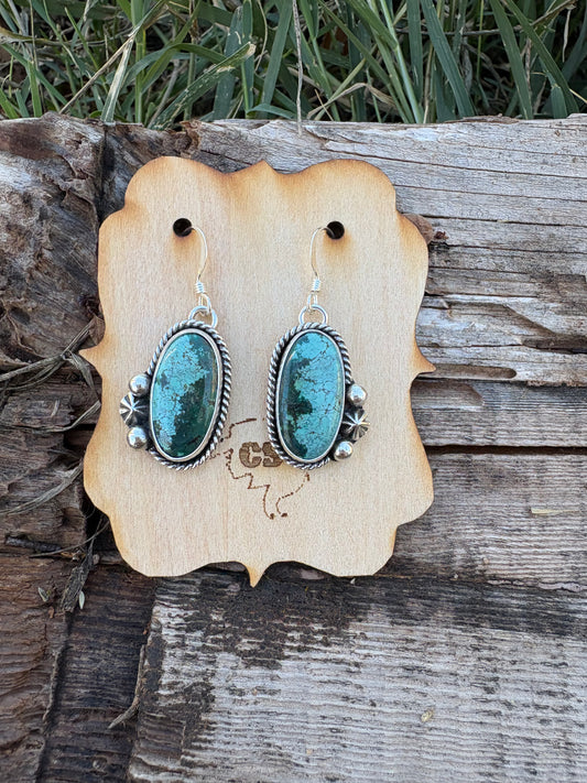 Beautiful Blues Earrings