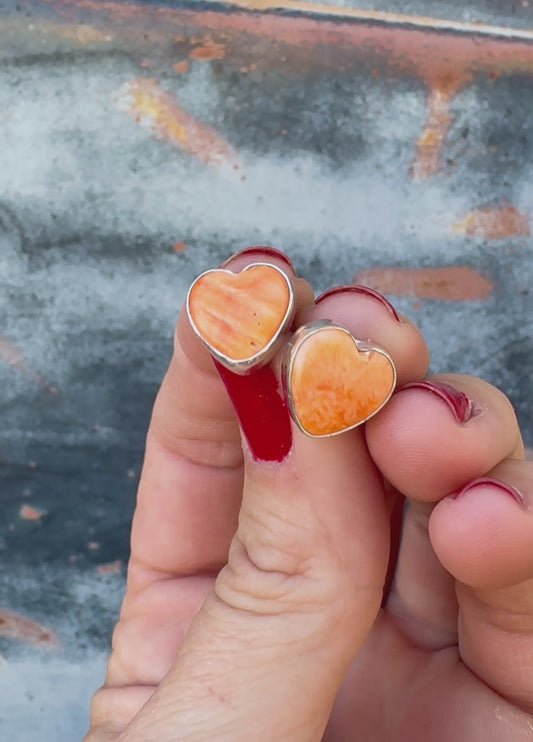 Orange You Cute Earrings